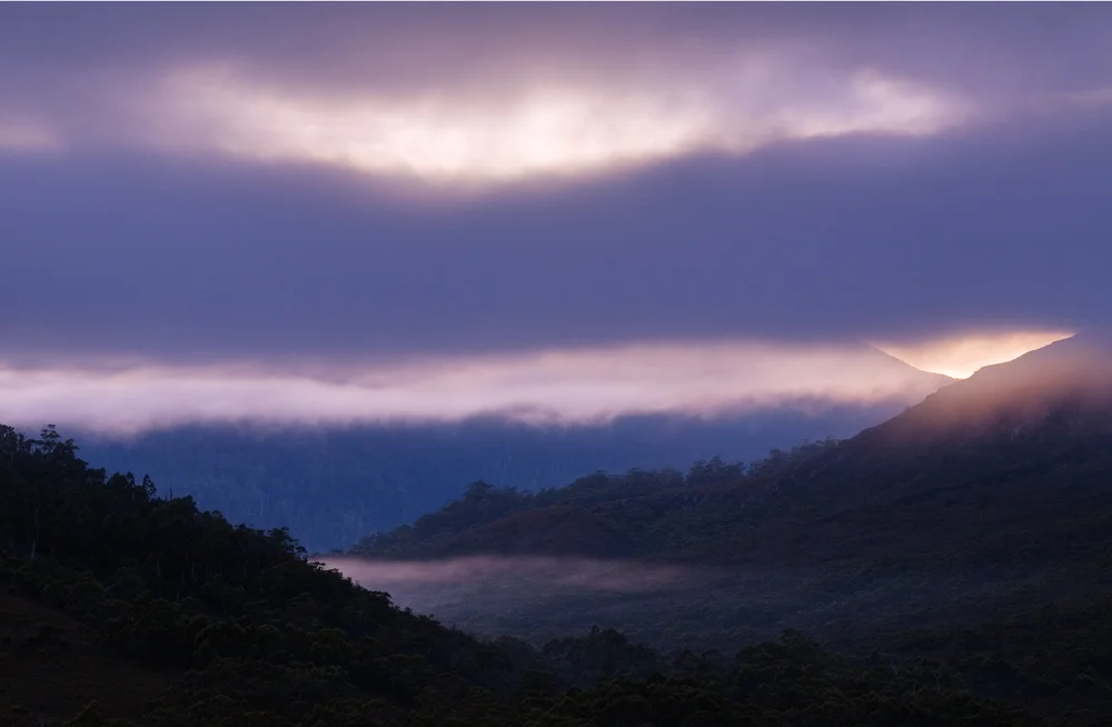 tassie 9695.jpg