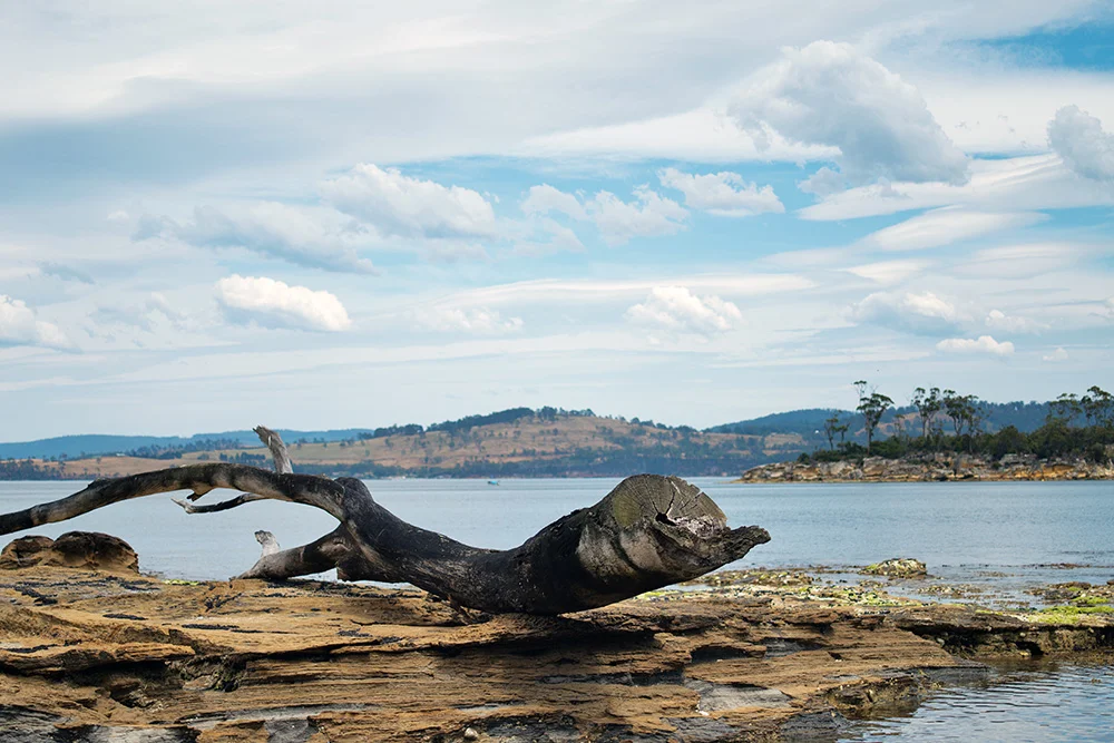 The log is given prominence but effect is subtle.