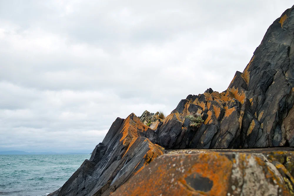 Around the shoreline at Stanley.