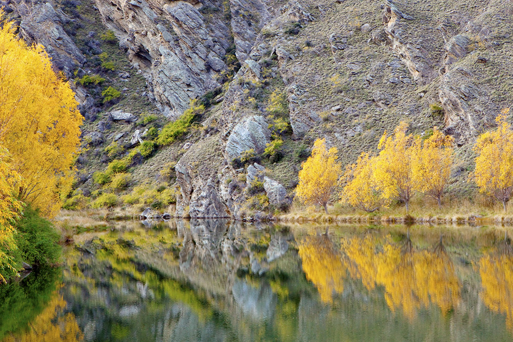 trees by the lake 0334.jpg
