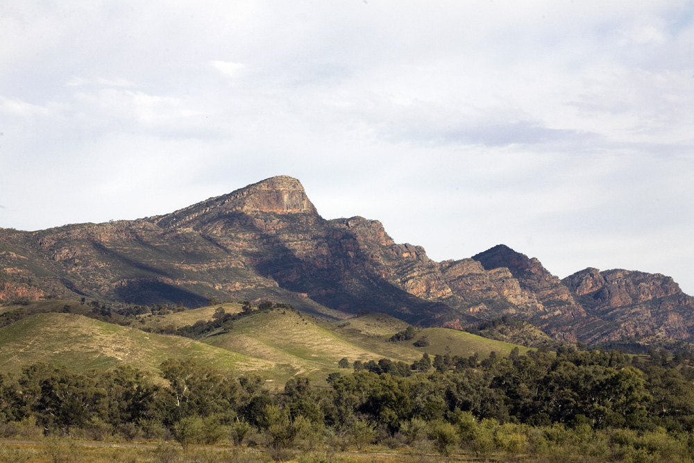 flinders ranges 1704.jpg