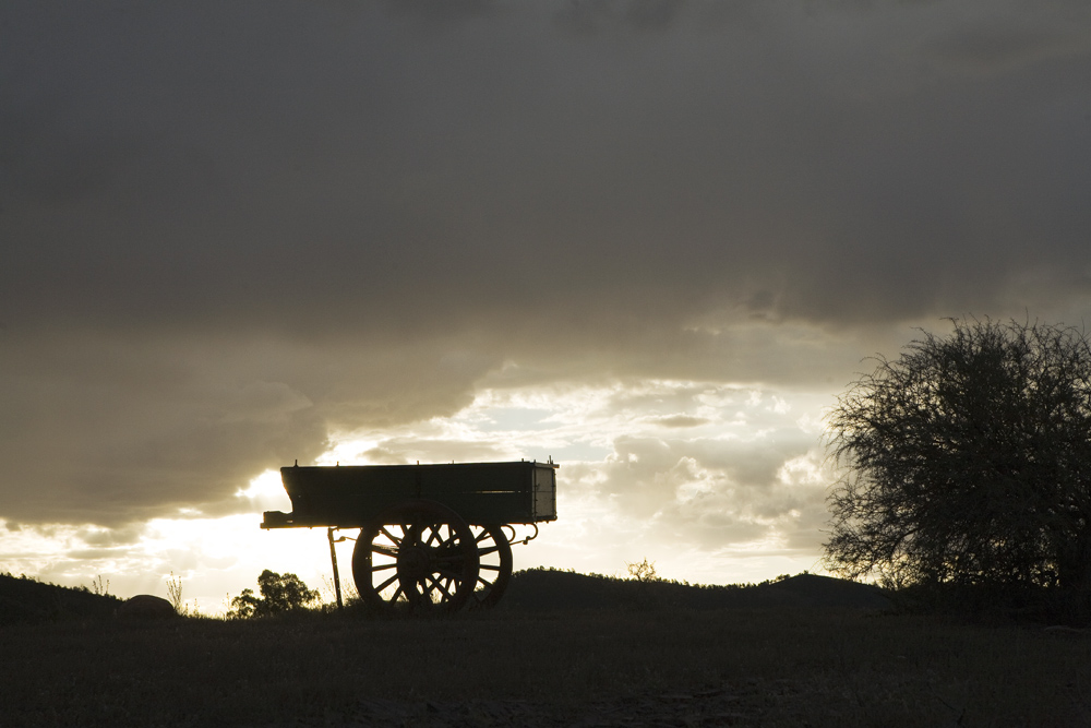 cart and bush 1960.jpg