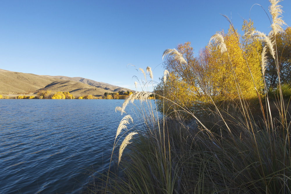 nz river 0224.jpg