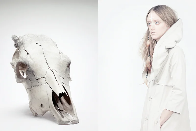 skull.jpg