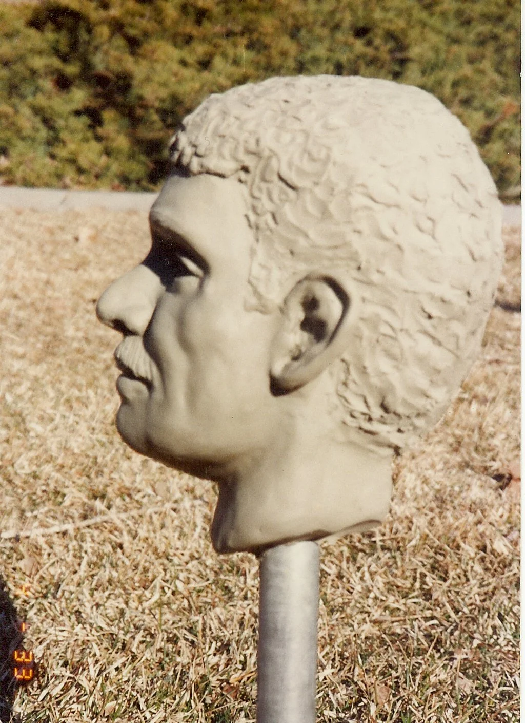 58 Figean Portrait.JPG