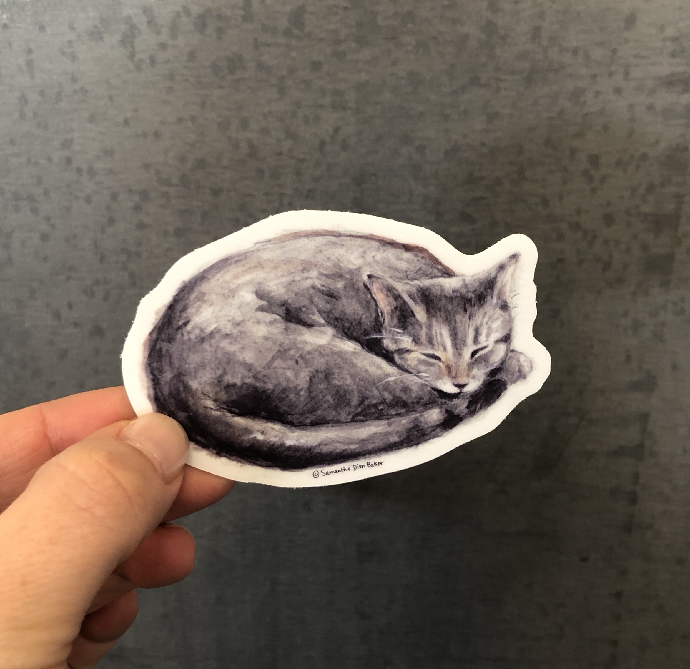Sleeping Cat Sticker