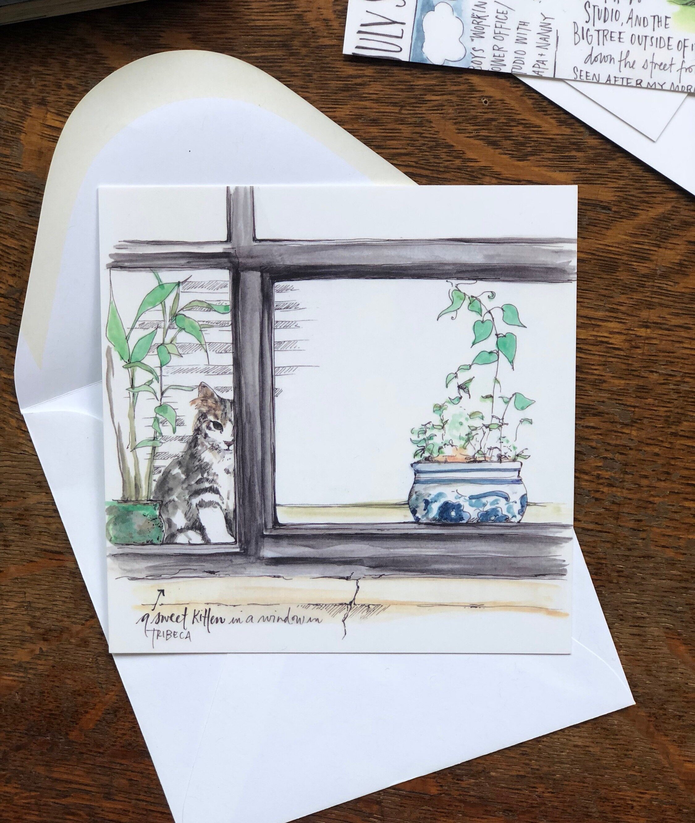 Kitten in a Tribeca Window Notecard