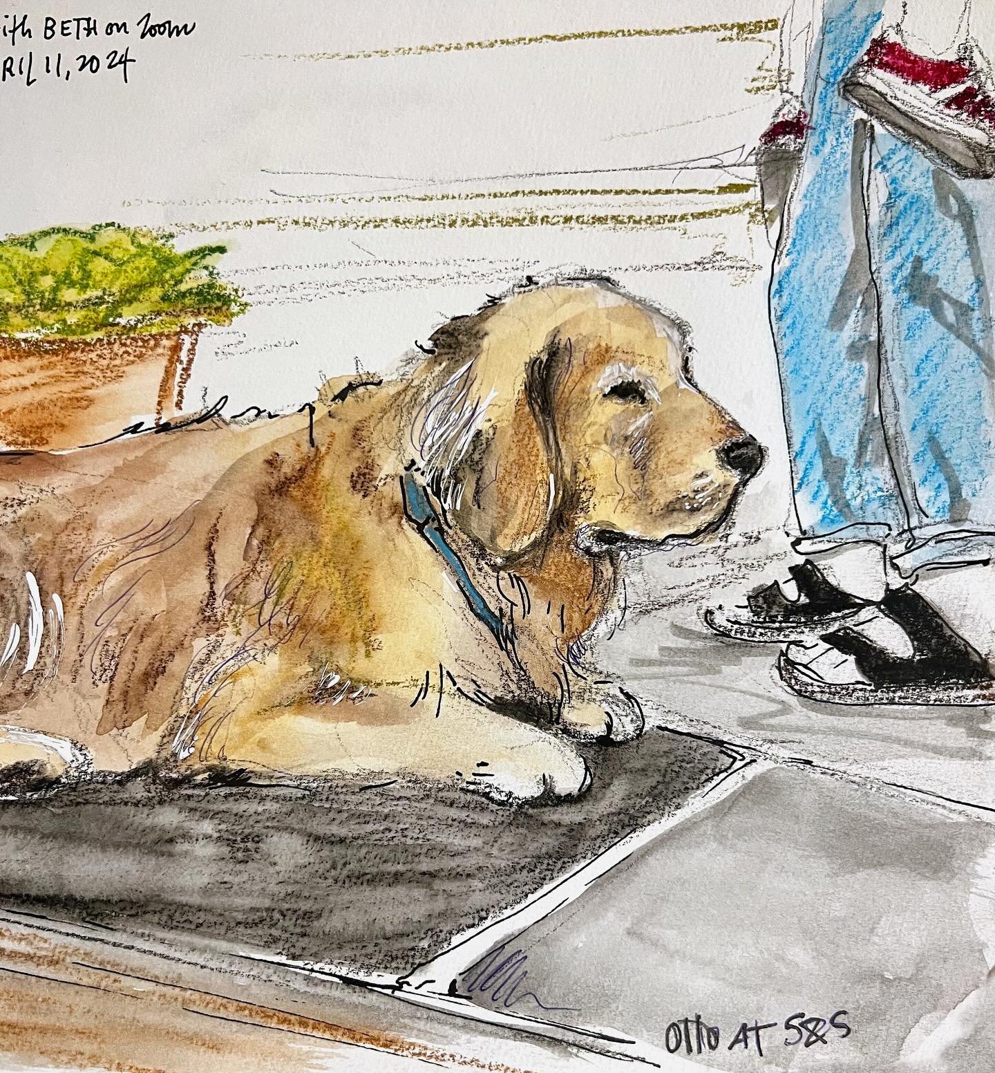 Yesterday I drew waiting dogs live with @bethspencerart @introvertdrawingclub and it was so much fun and so relaxing. No stress at all. There&rsquo;s something about drawing dogs that makes everyone happy. There were so many amazing artists there, an