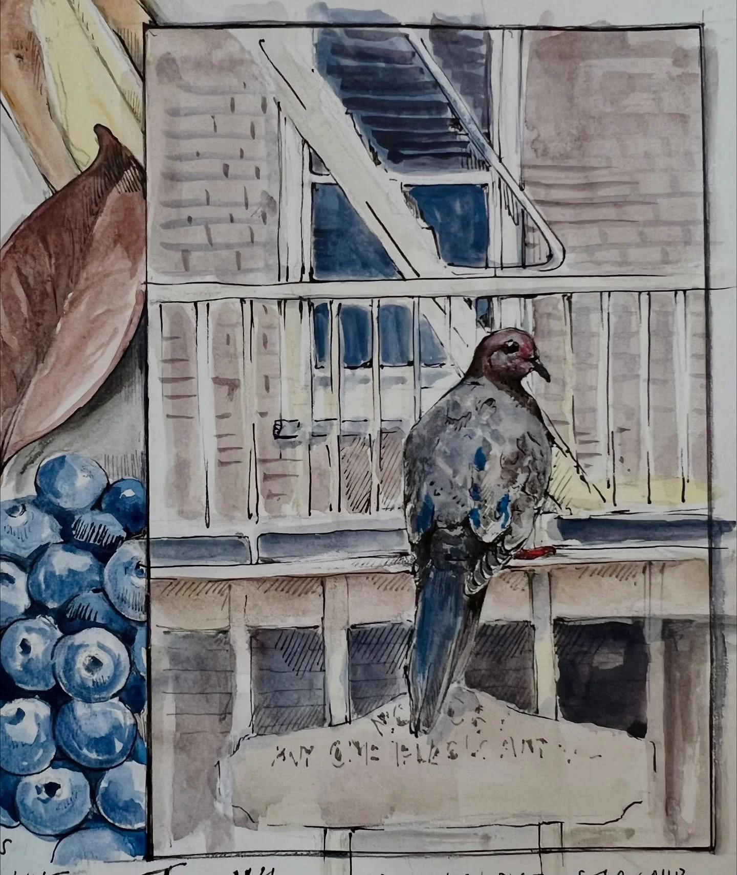 Some pigeons in my sketchbooks over the years #drawyourday #drawyourworld #drawyouradventures