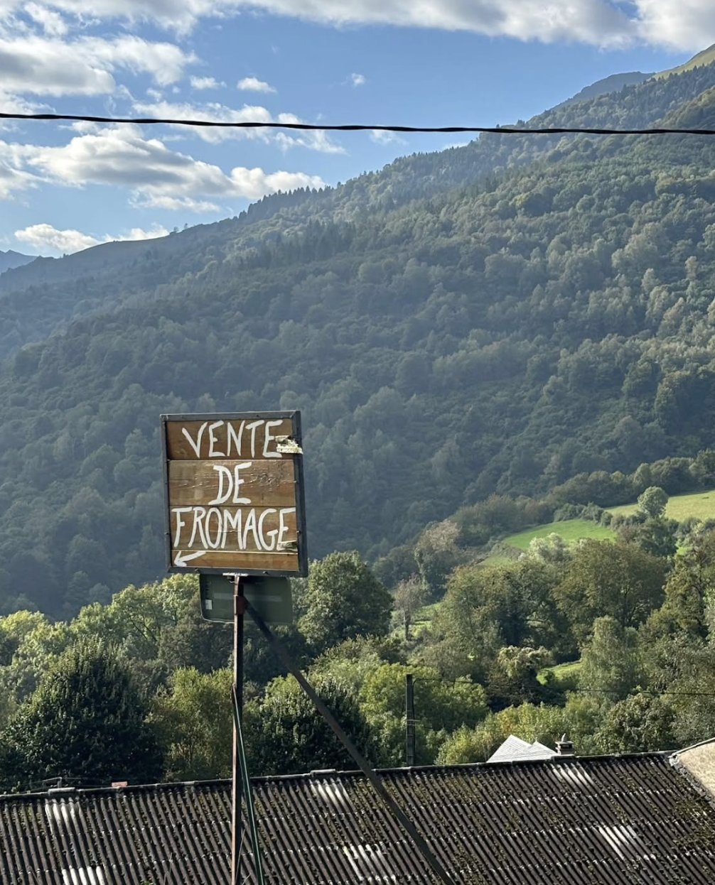 Screenshot 2025-11-18 at 1.12.51 PM.png