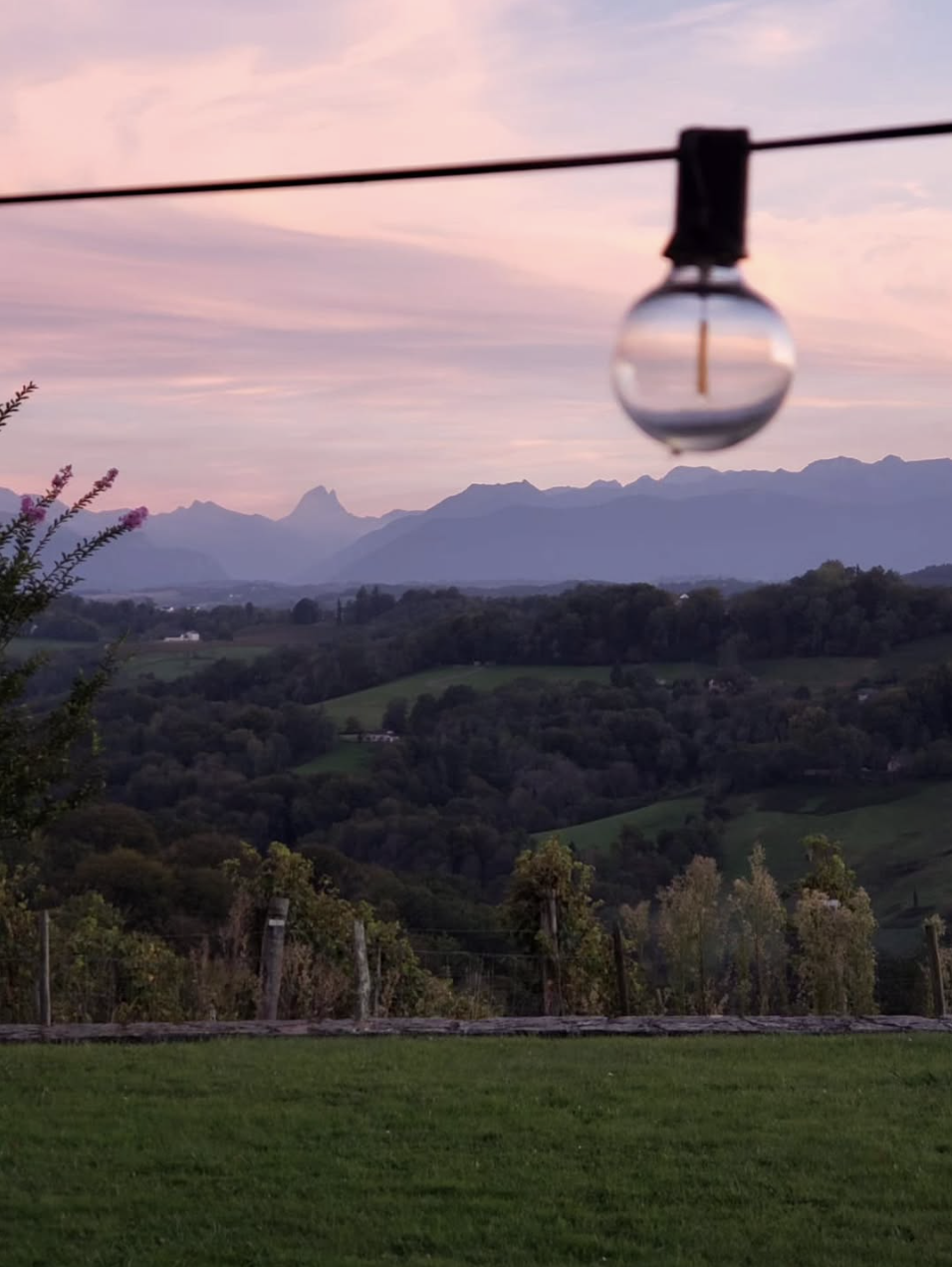 Screenshot 2025-11-18 at 1.11.24 PM.png