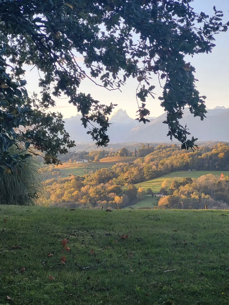 Screenshot 2025-11-18 at 1.12.10 PM.png