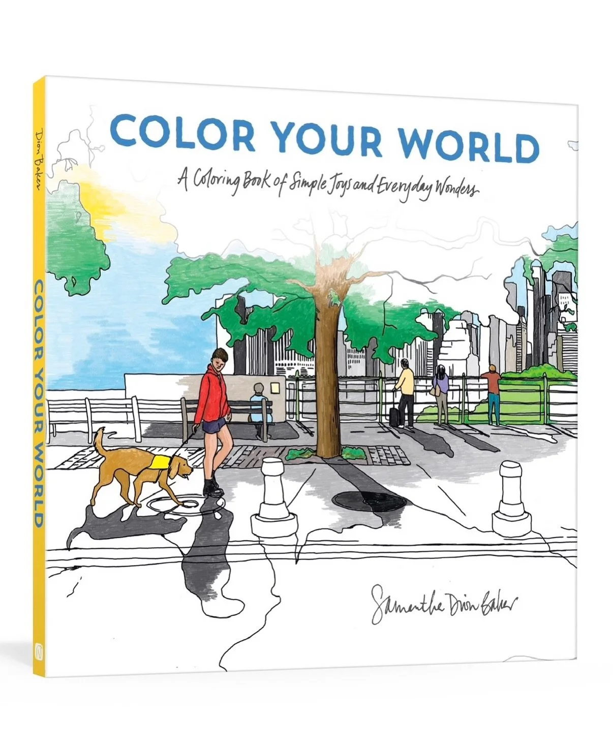 Hi everyone! I am so excited to share the cover of my first coloring book! COLOR YOUR WORLD hits the shelves on June 16, 2026, and you can pre-order today! 

Color 40 everyday joys and small wonderful details of your world in this adult coloring book