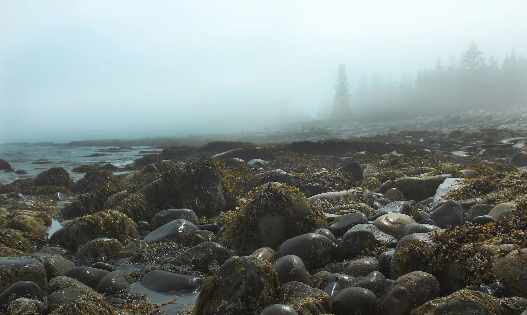 seawall no sign.jpg