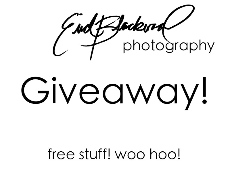giveaway.jpg