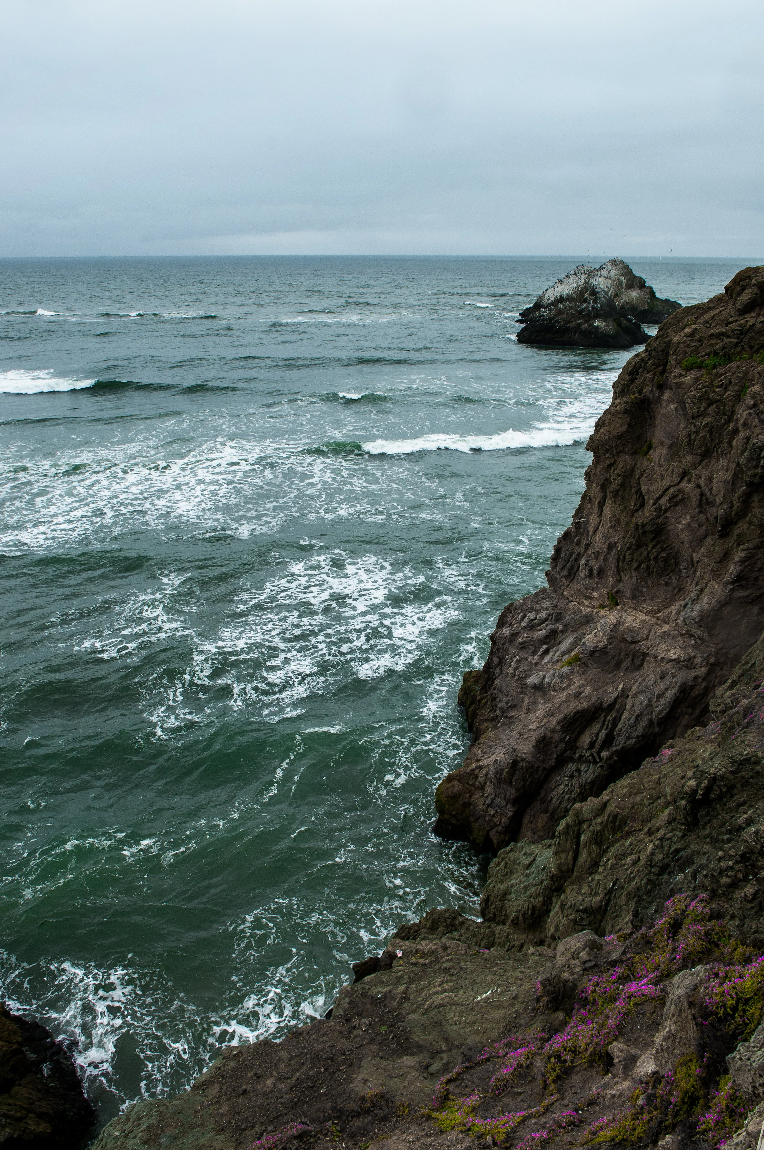 DSC_5397.jpg