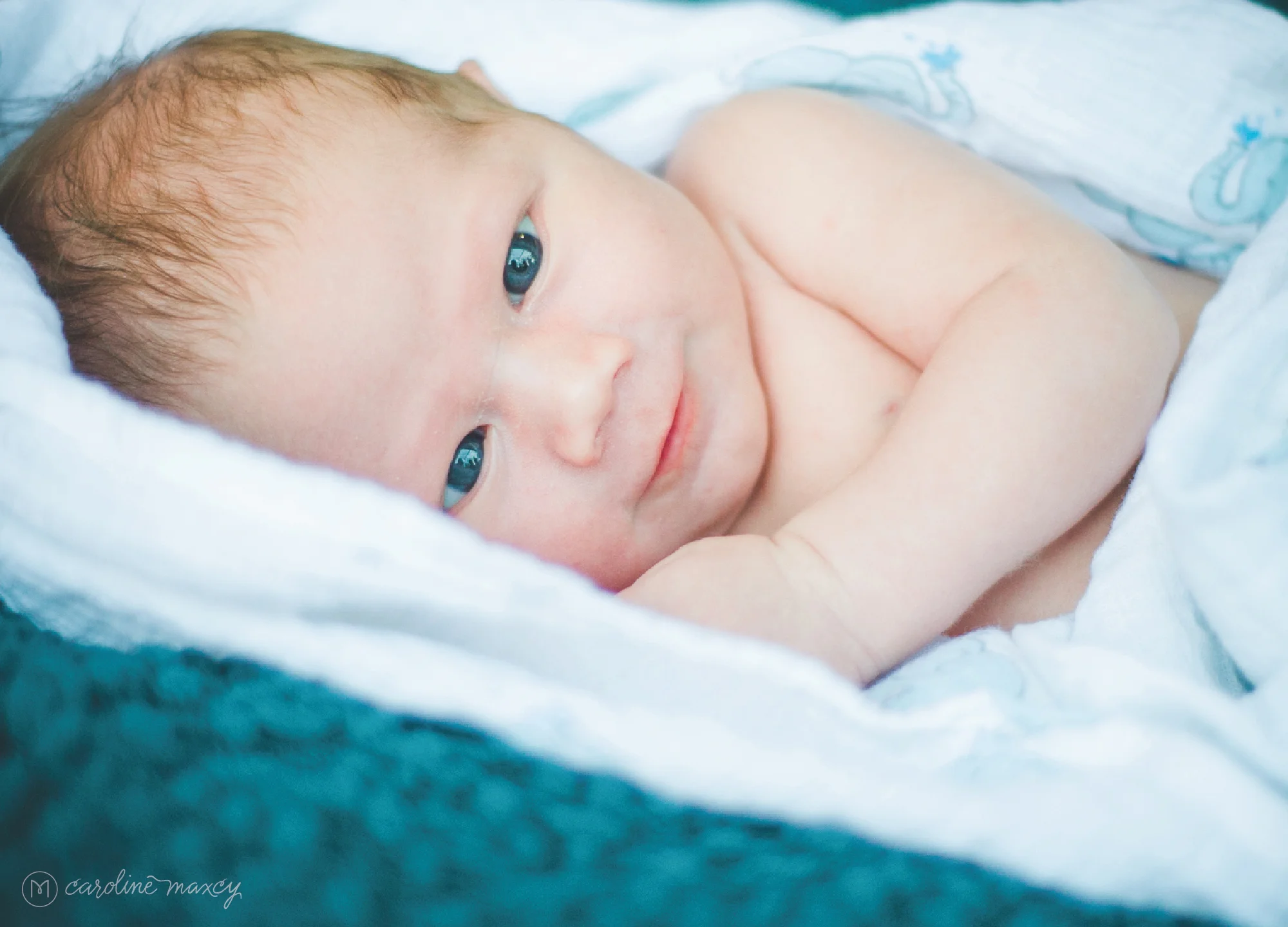 2014_03_20_FallFamilies_3_Wohl_blog9.jpg