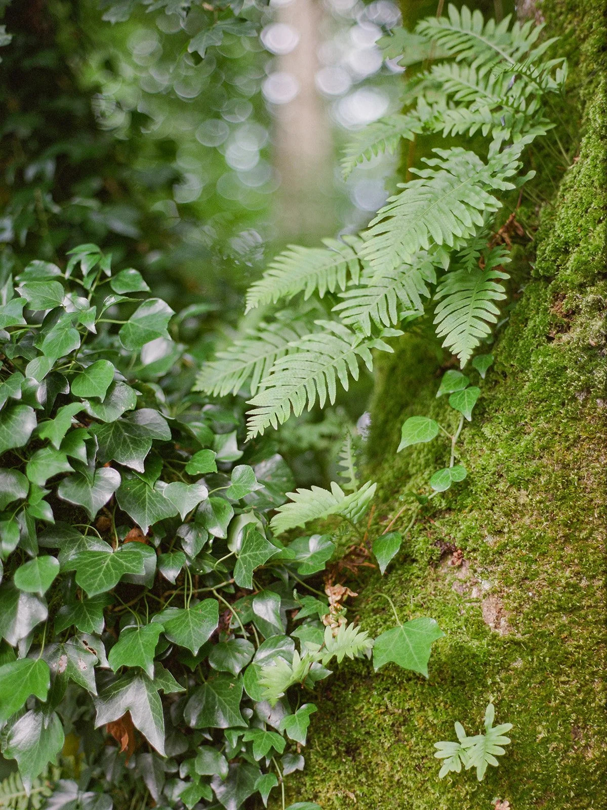 2023-07-Ireland-FineArtFilm-0065.JPG