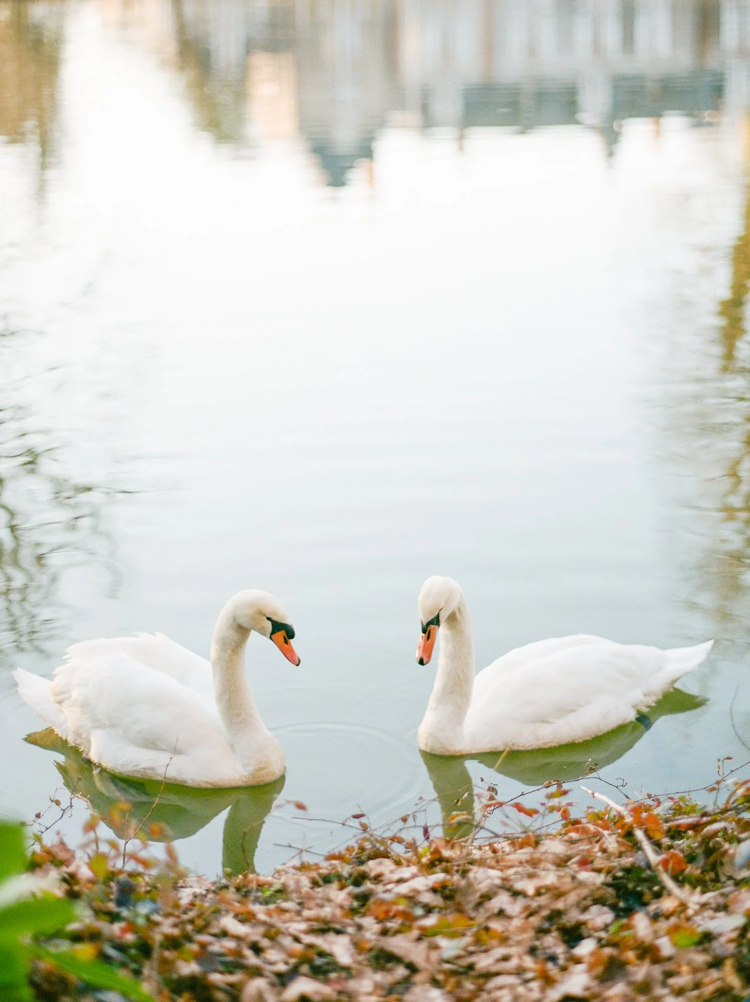 France Film Photography — Luxury Editorial Film Travel Photography