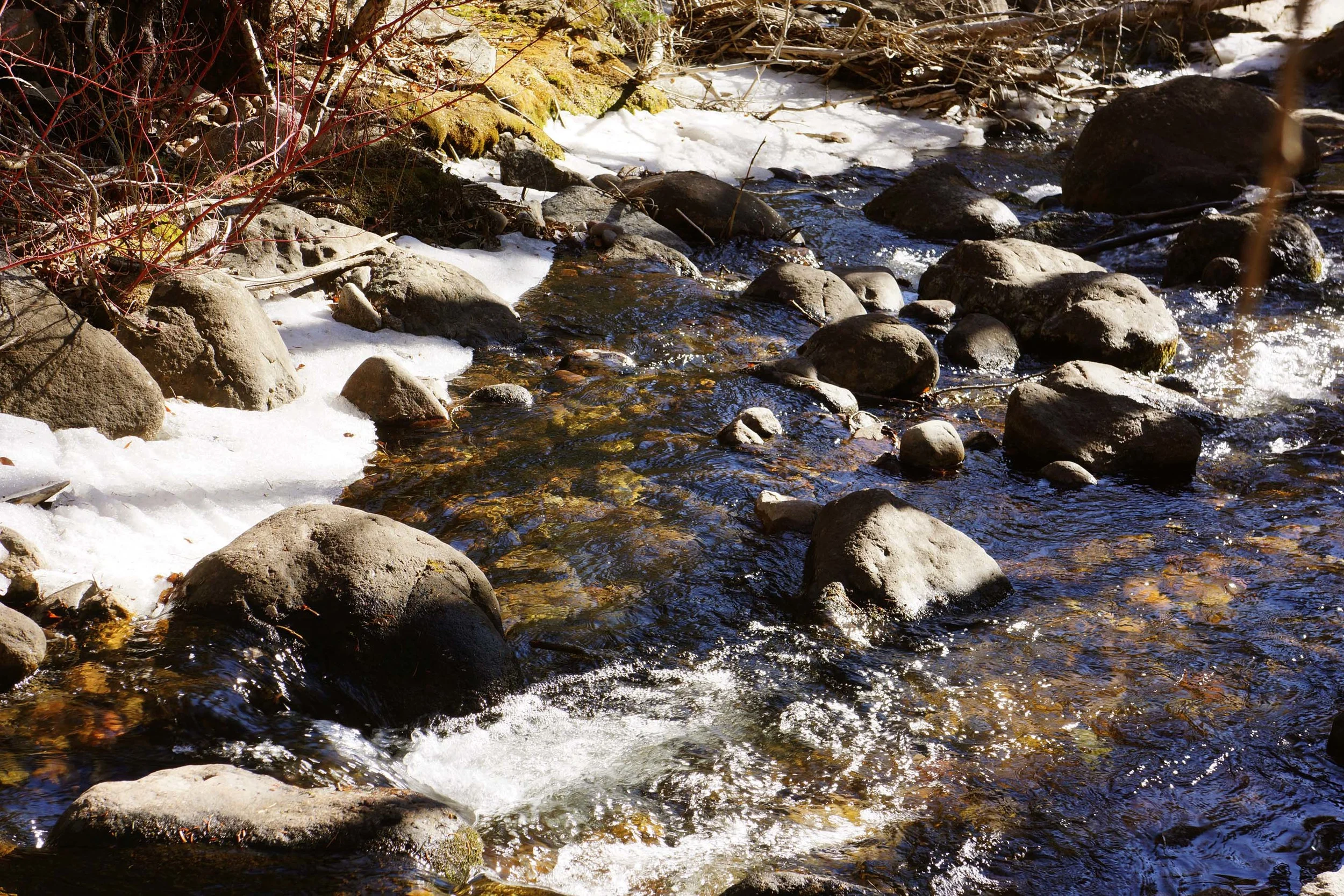 n. crestone creek as it looked last week. we'll be walking up again in a little while.....