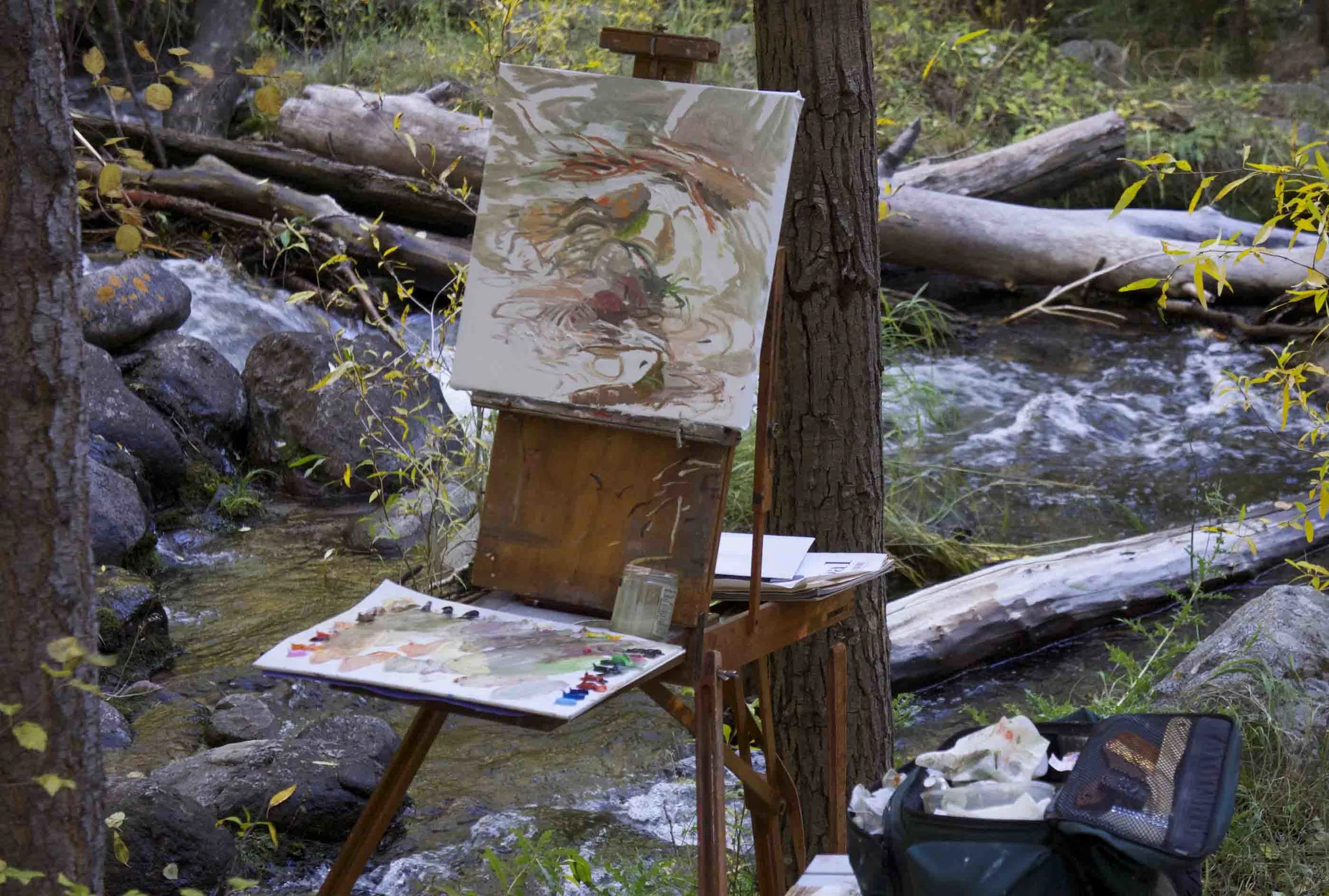 site-10.3.13 RAW-n. crestone creek on site 16x16.jpg