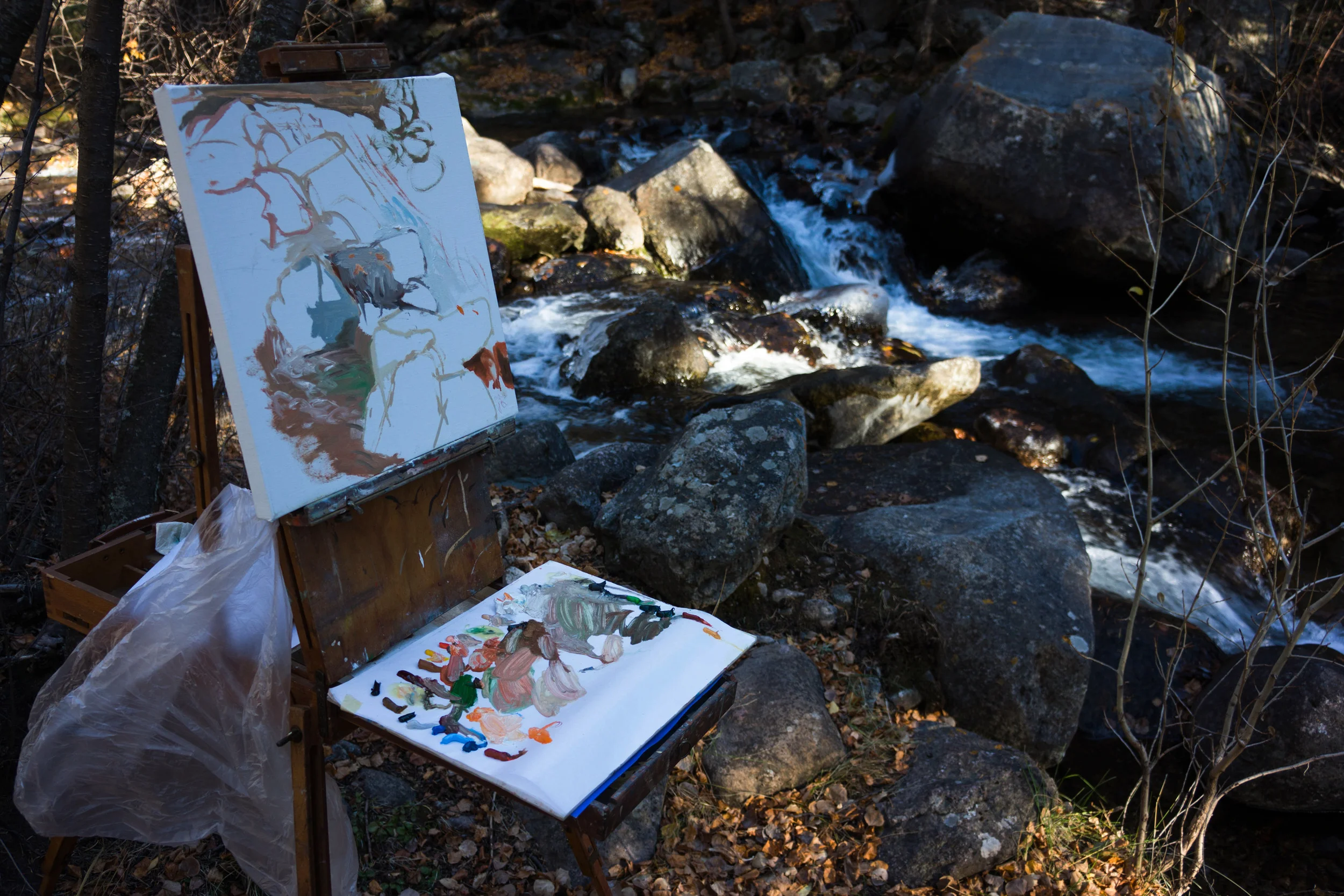 site-11.02.13 LR-RAW n. crestone creek scene 2 16x16.jpg