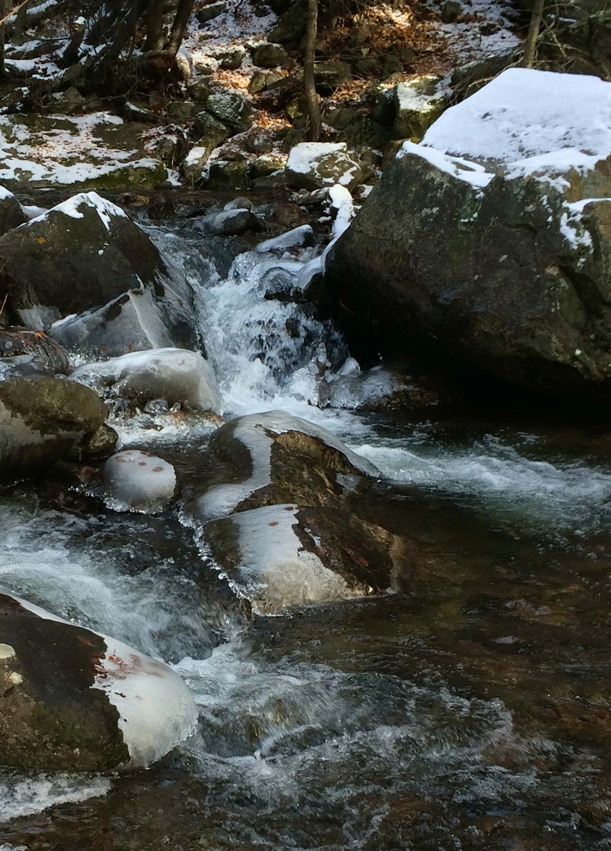 site-11.7.13 ice covered rocks.jpg