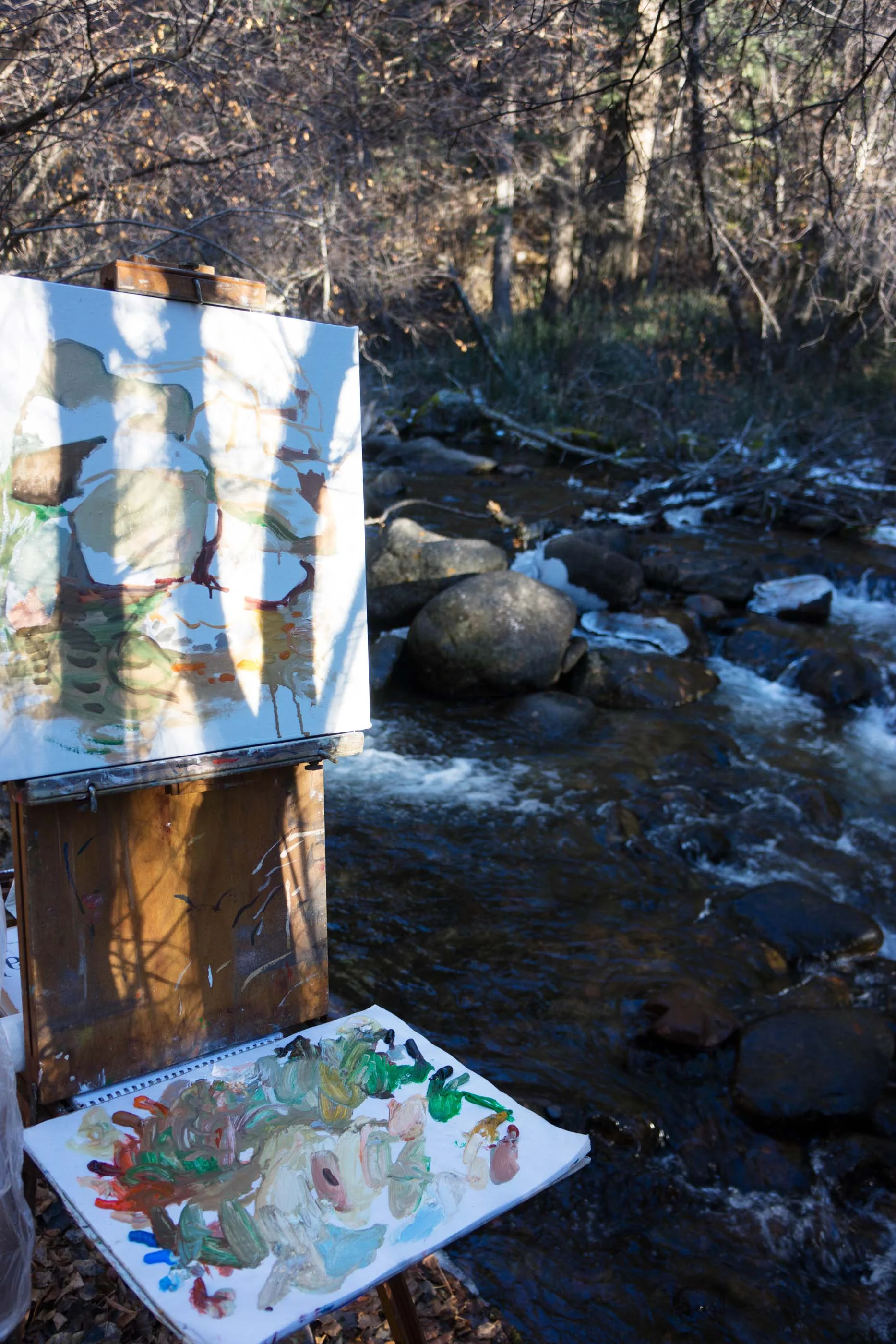 site-11-11-13 LR RAW n. crestone creek-scene.jpg