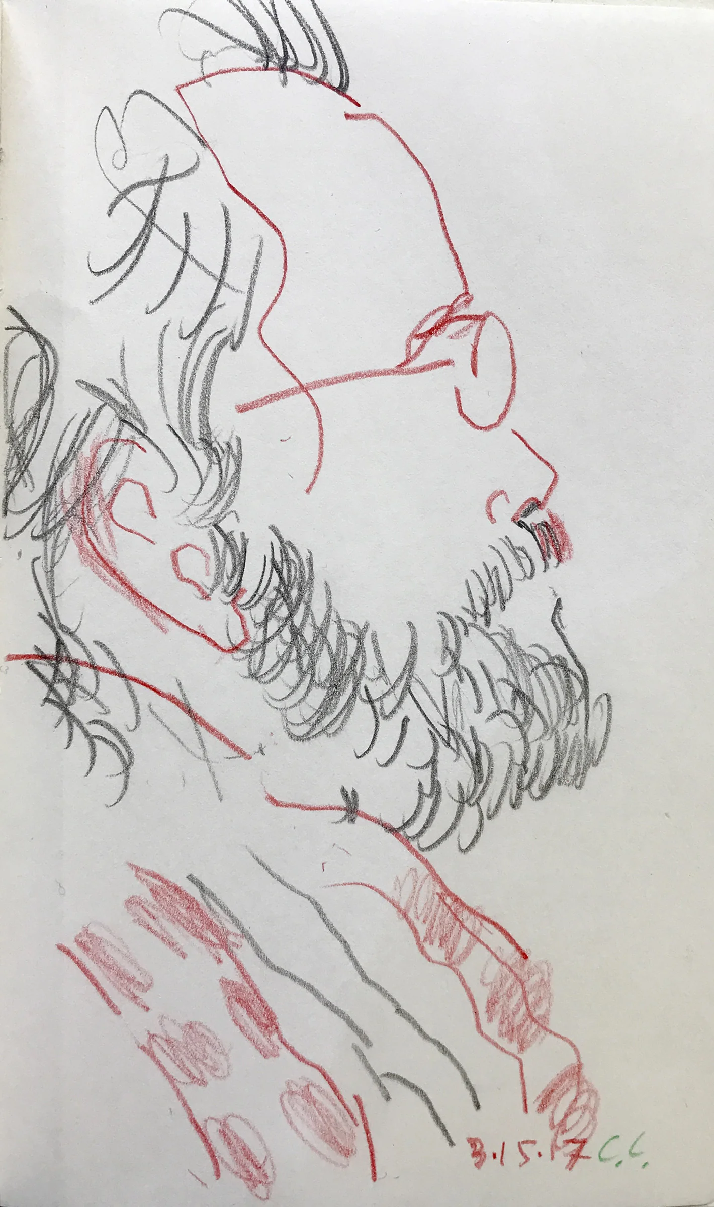 SITE-3-15-17 drawing, C.C..jpg