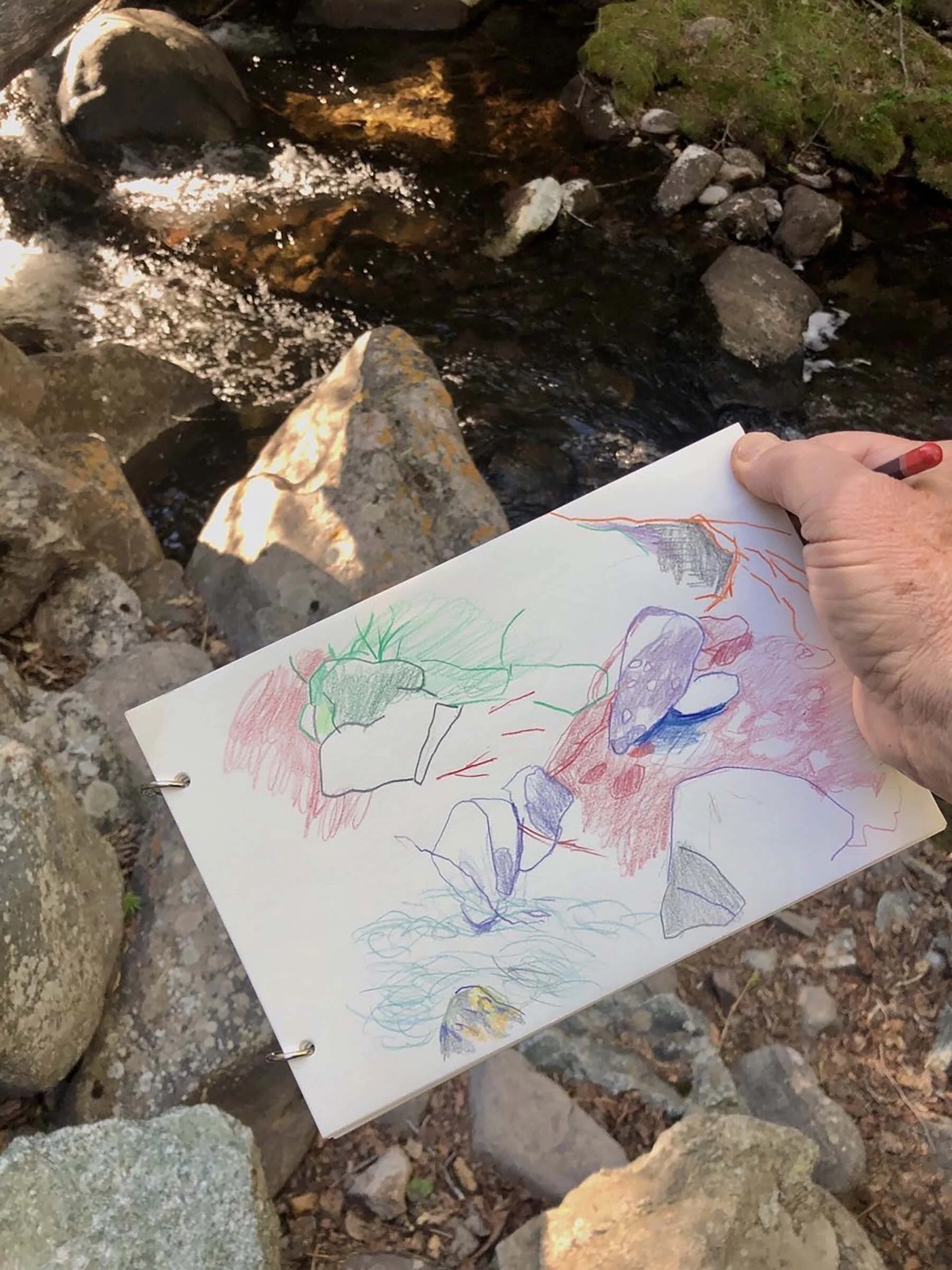 cottonwood creek, 7am today