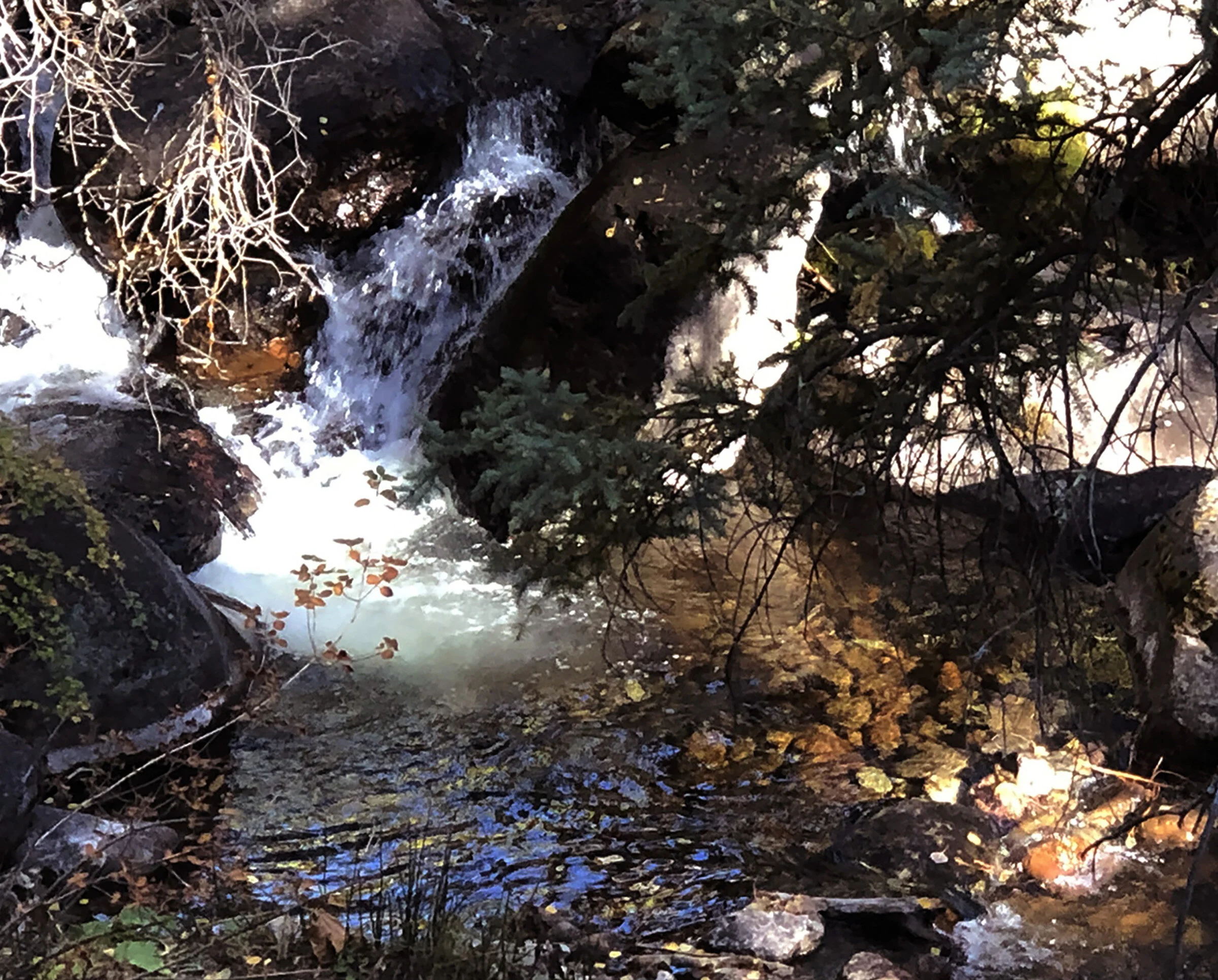 SITE-8.5x11 PRINT-9-28-20 creek 1a.jpg