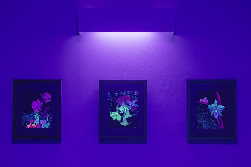 A Saturated Meadow Installation View