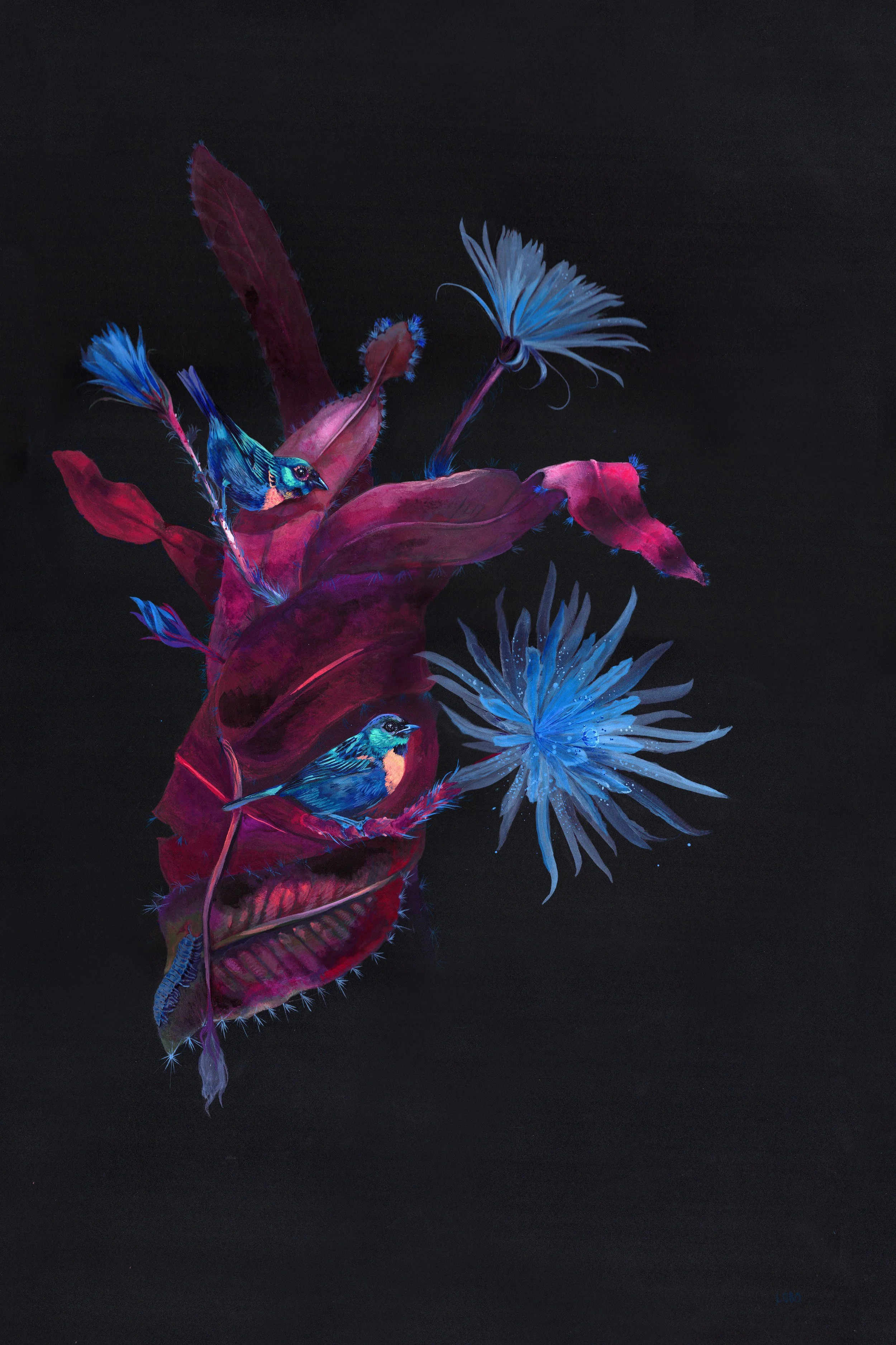 Bird's Eye: Brassy-breasted Tanager