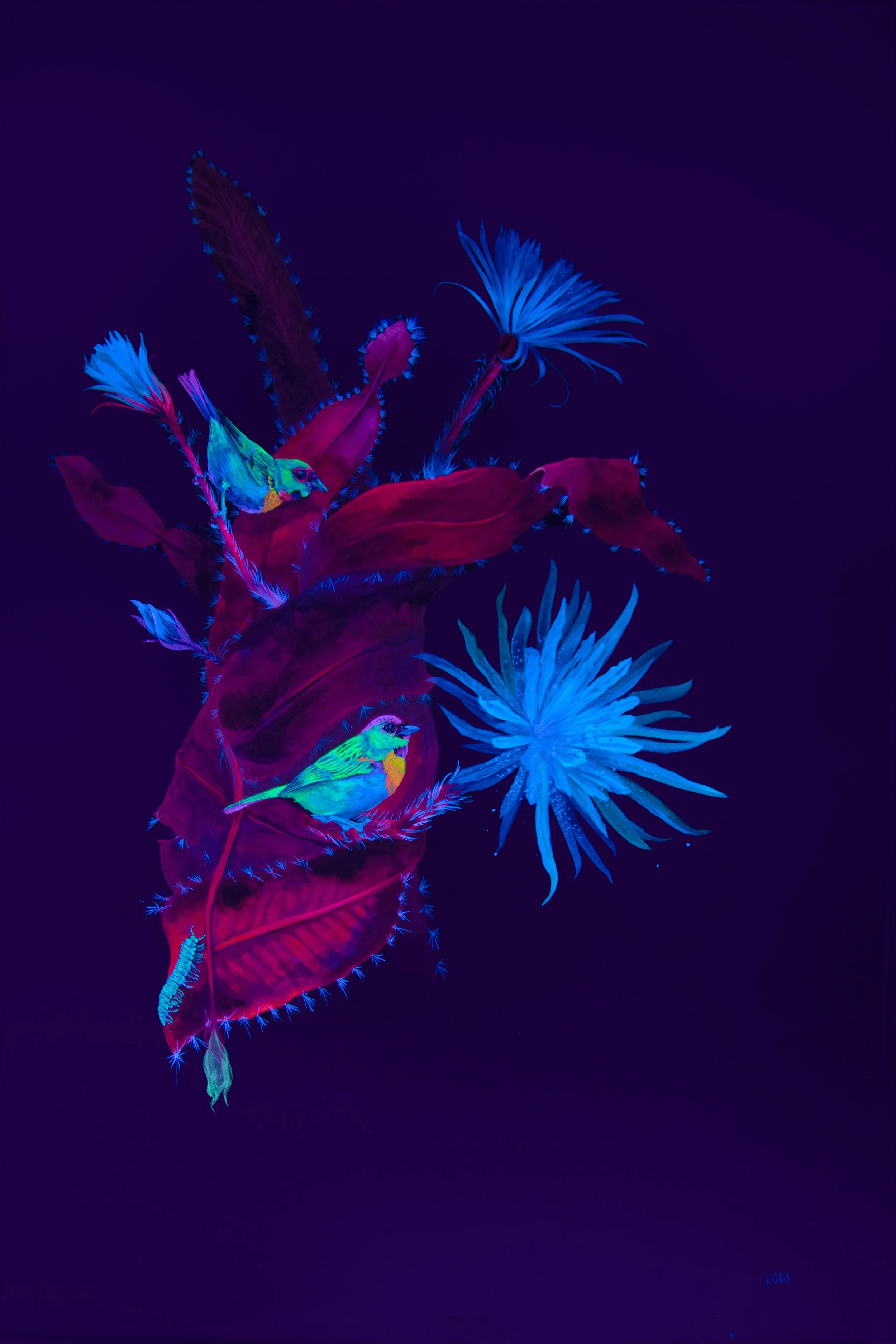 Bird's Eye View: Brassy-breasted Tanager 