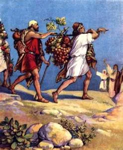 The spies carrying back fruit from the promise land (Num 13:23)