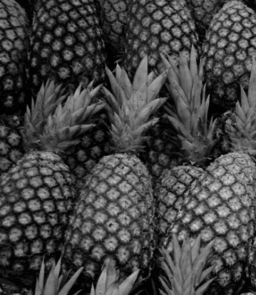pineapples.jpg
