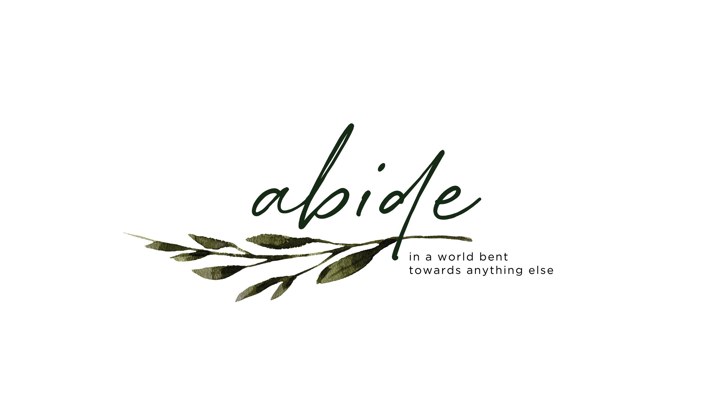 abide series options.jpg