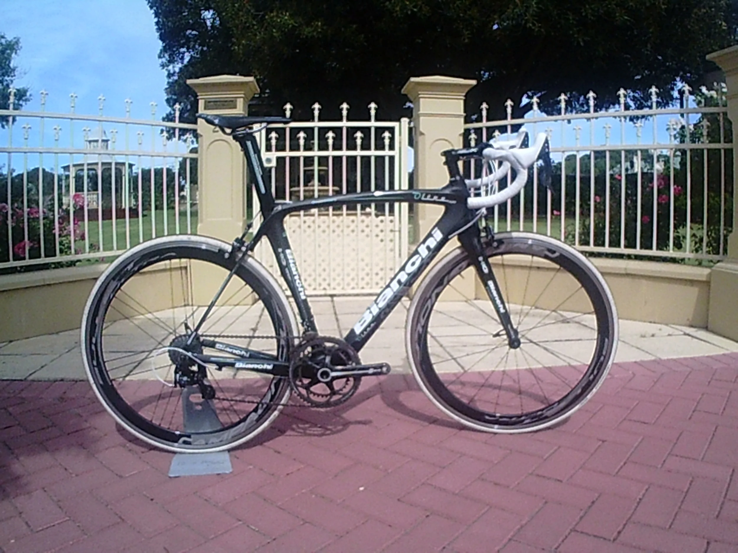 oltre custom (1).JPG