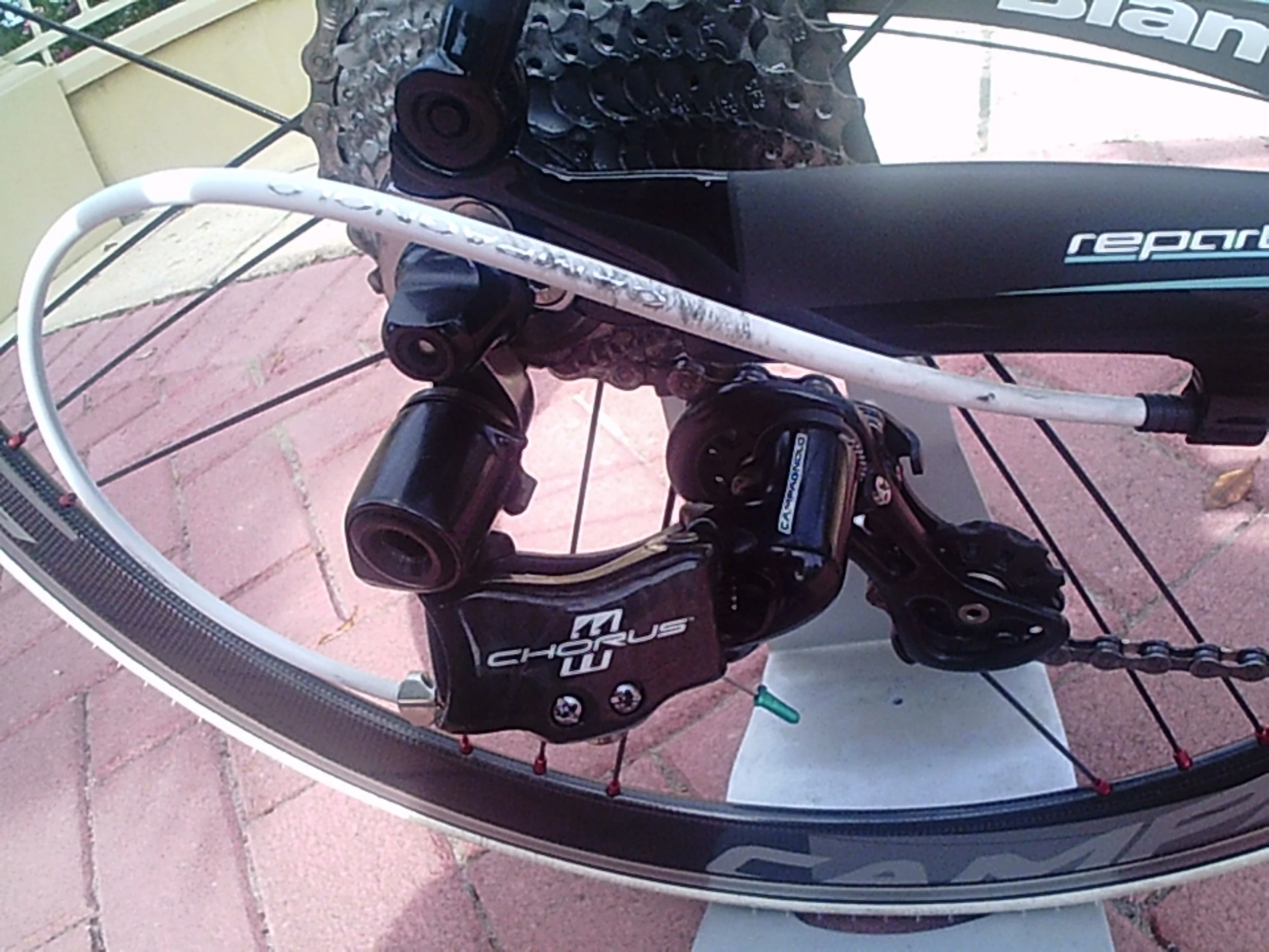 oltre custom (2).JPG