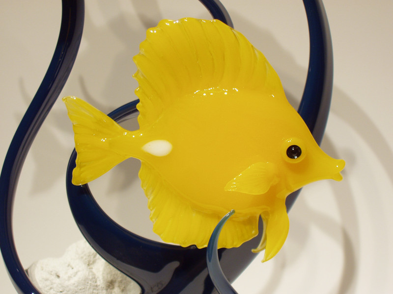 yellow tang (3).jpg