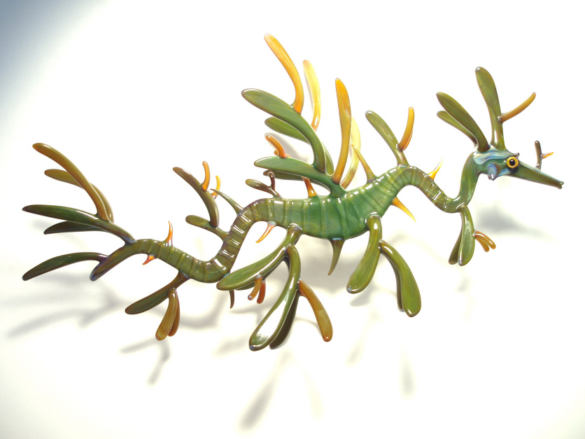leafyseadragon (4)_007.jpg
