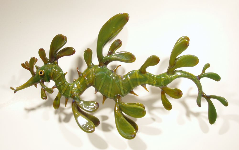 leafyseadragon (2)_005.jpg