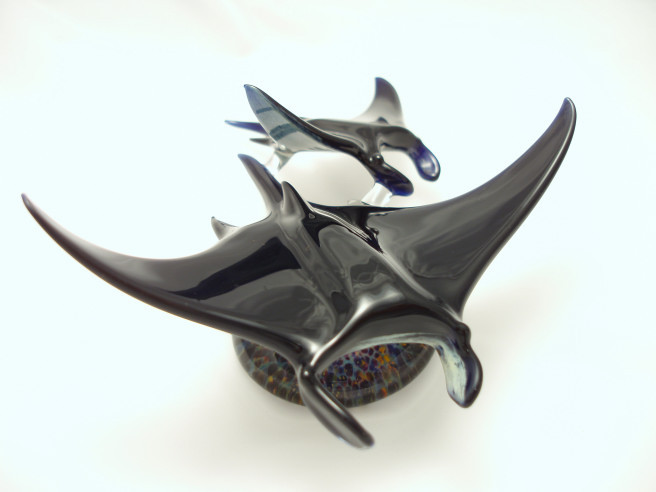 Manta Rays — Jupiter Nielsen Flameworking