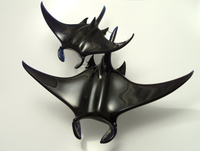 manta ray (5).jpg