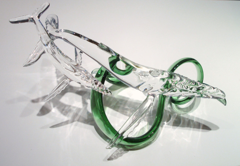 humpback whale (6).jpg