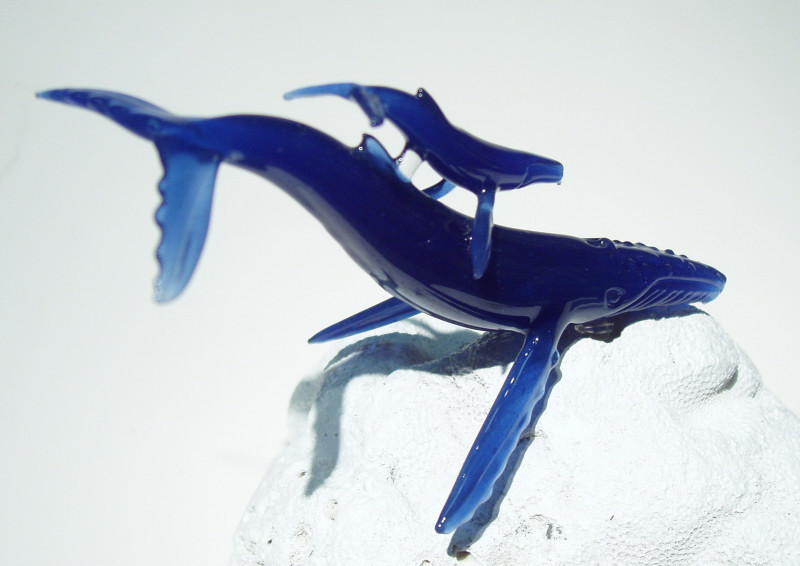 humpback whale (2).jpg