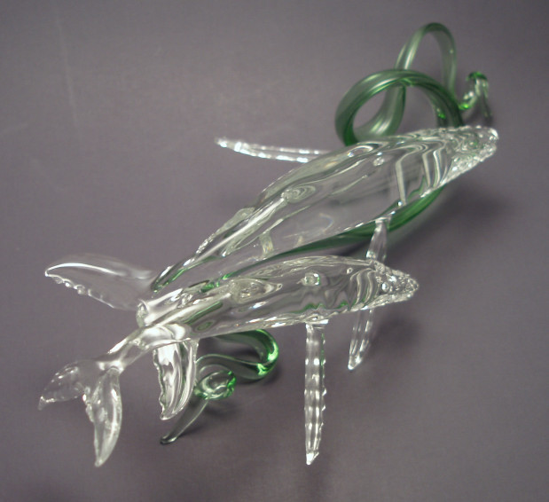 humpback whale (5).jpg