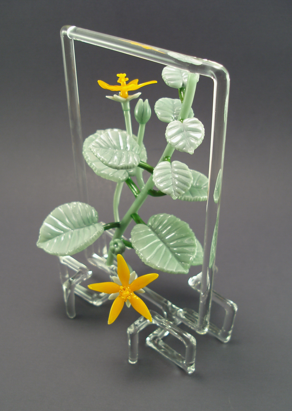 'ilima frame (2).jpg