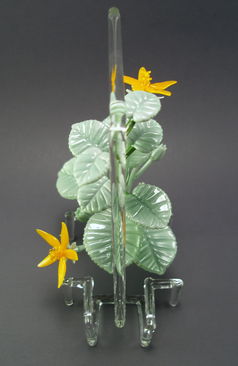 'ilima frame (5).jpg