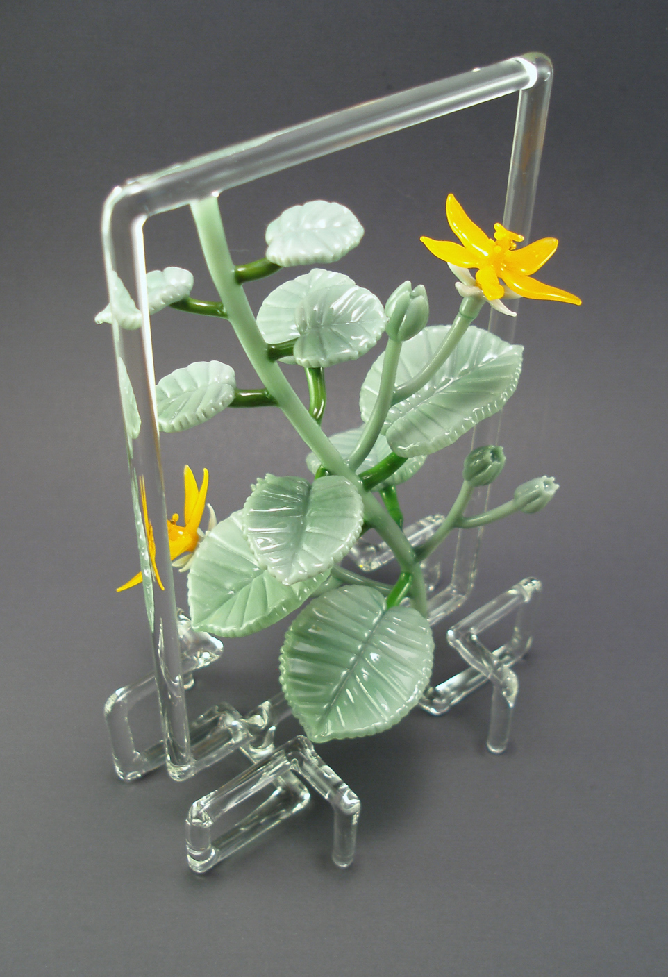 'ilima frame (3).jpg